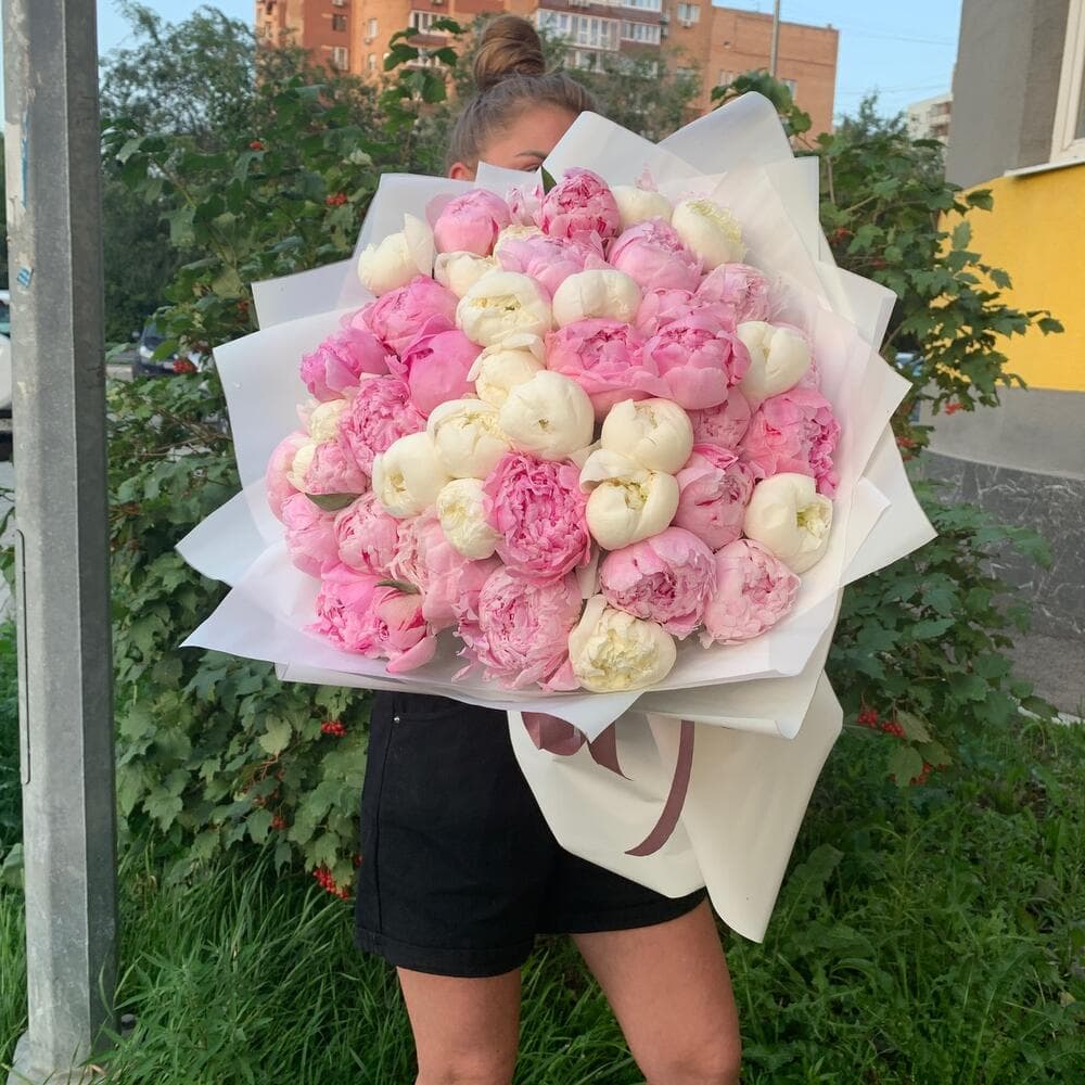 51 пион