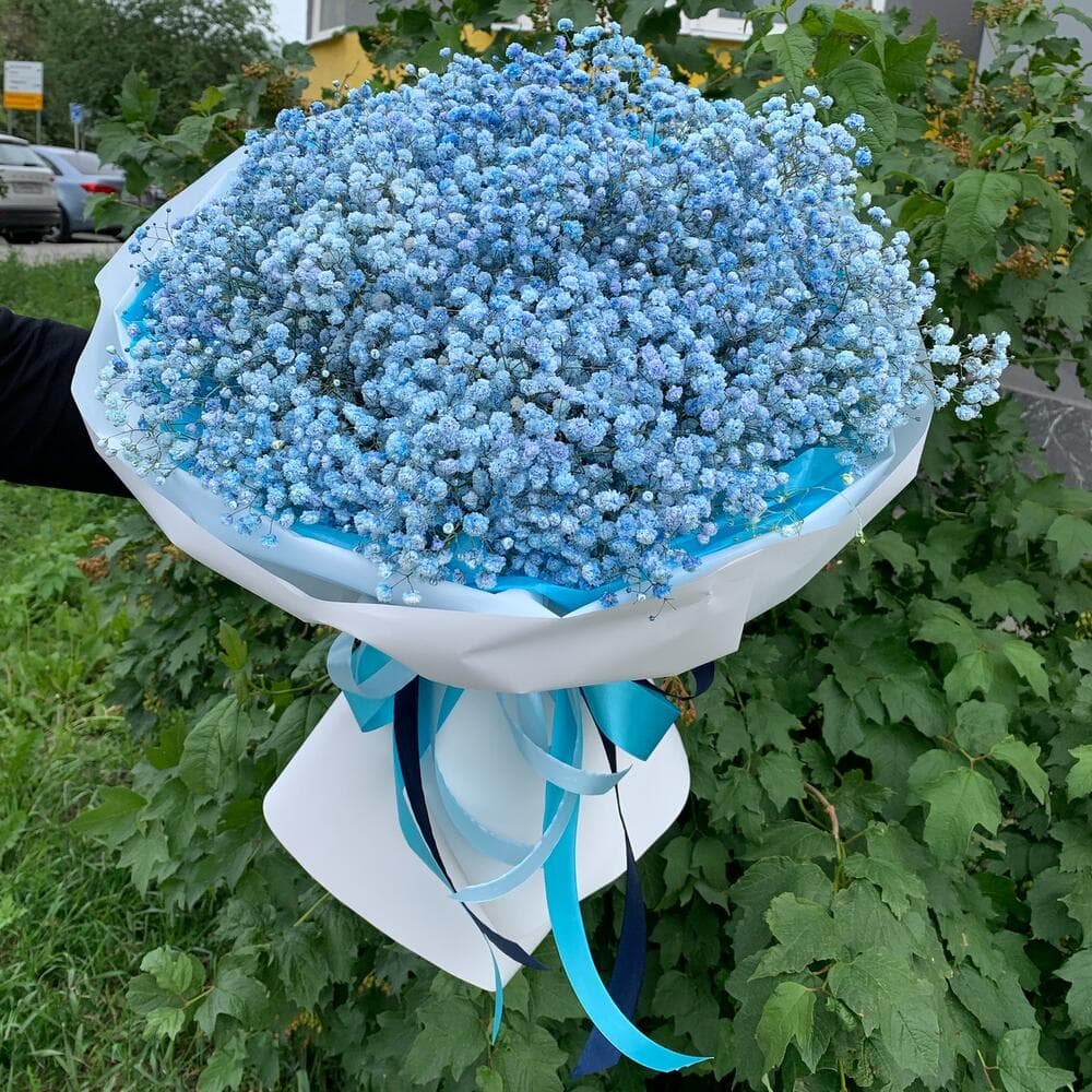 Голубое облако гипсофилы